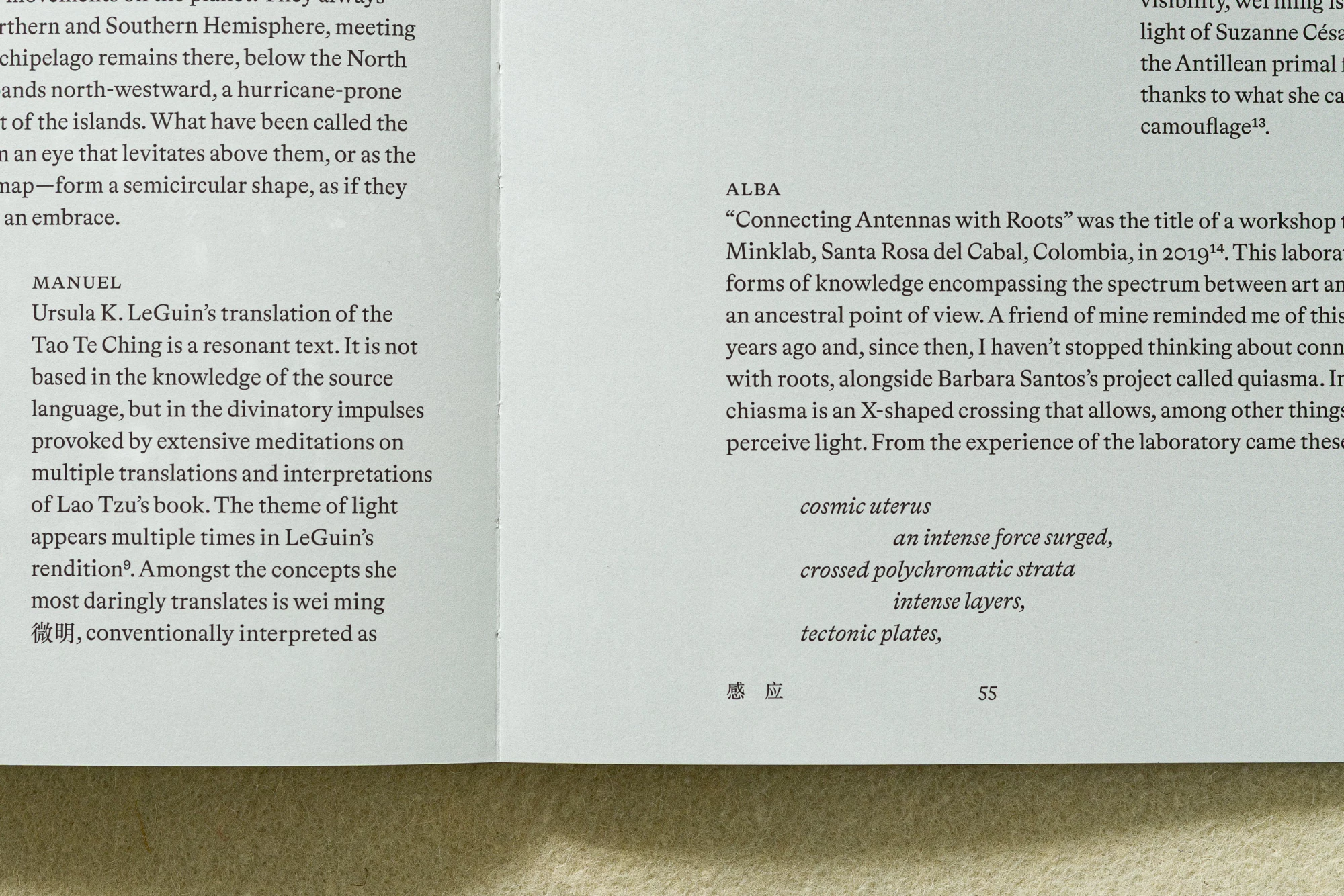 Exhibition brochure, Allora & Calzadilla, Lisson Gallery