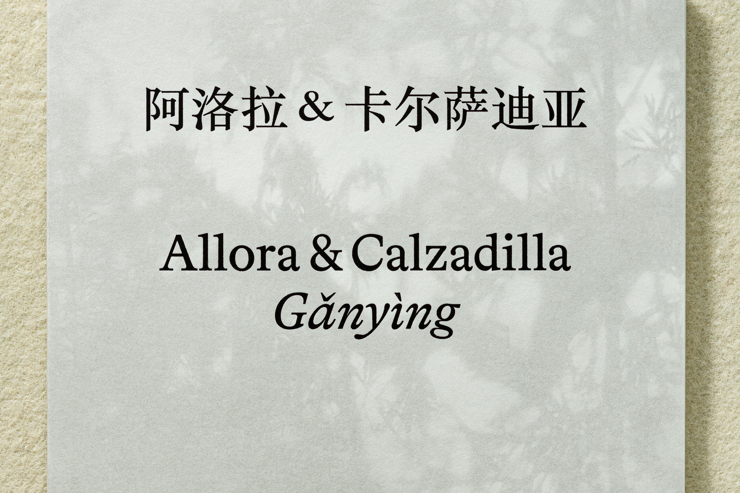 Allora & Calzadilla