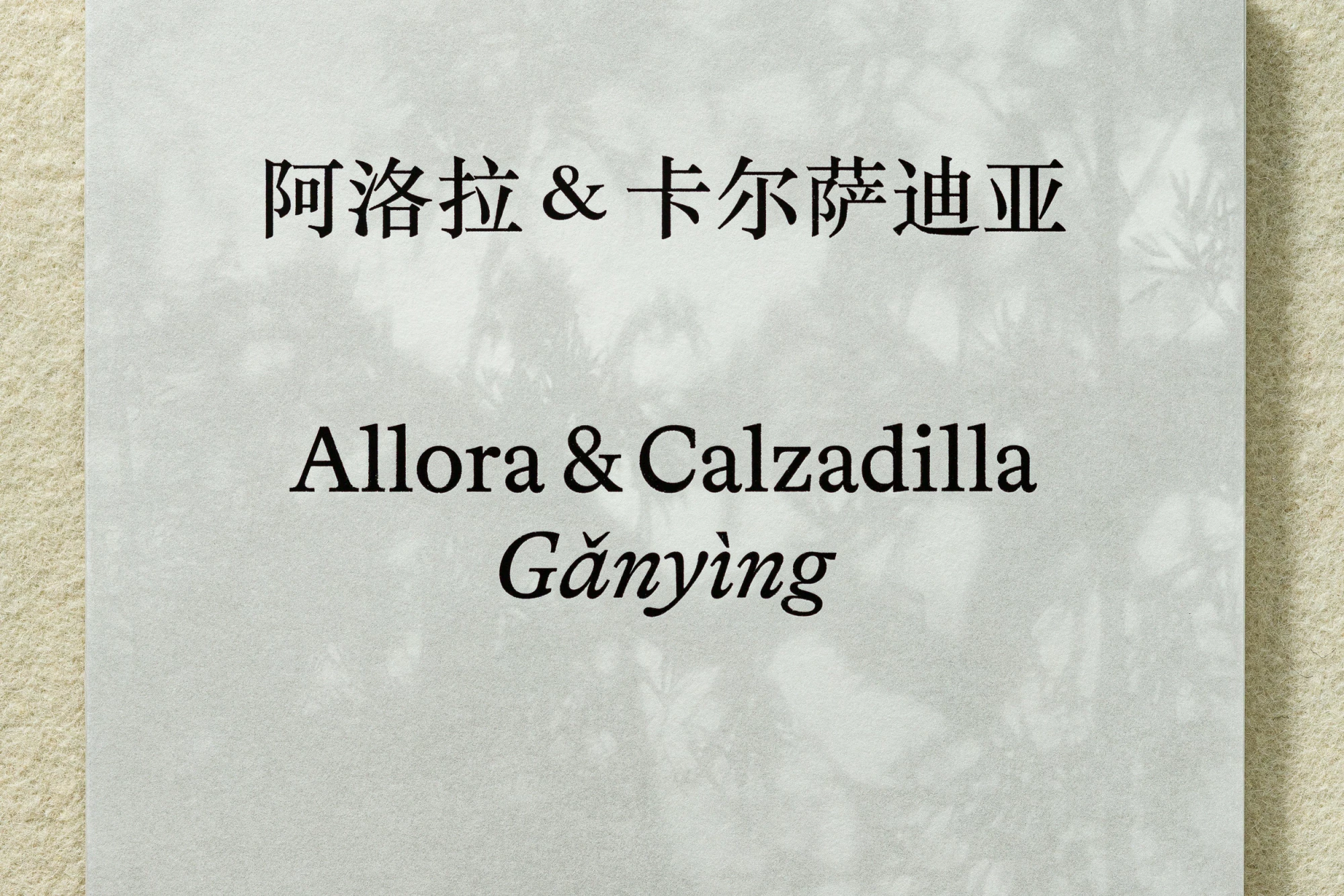 Allora & Calzadilla