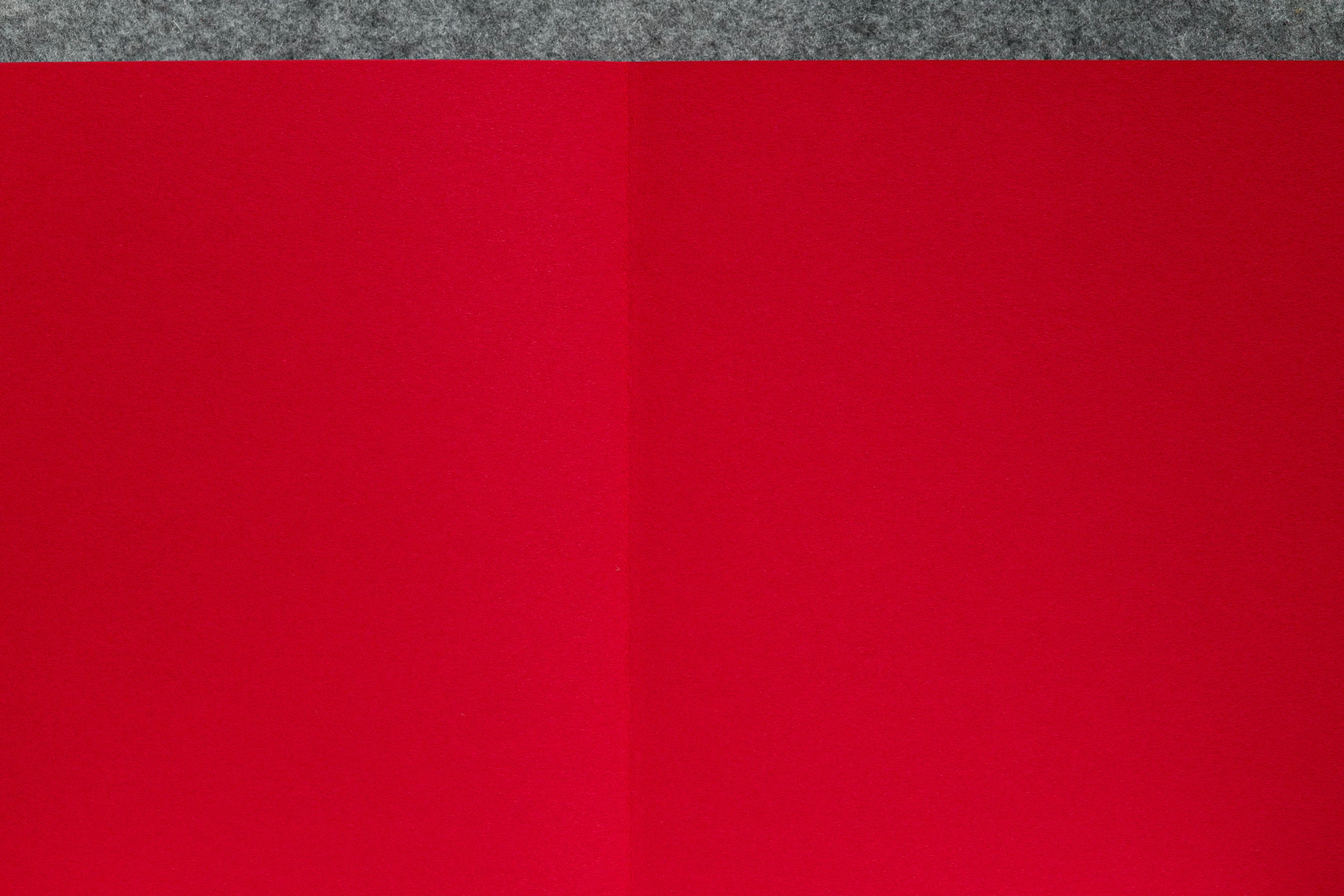 Anish Kapoor