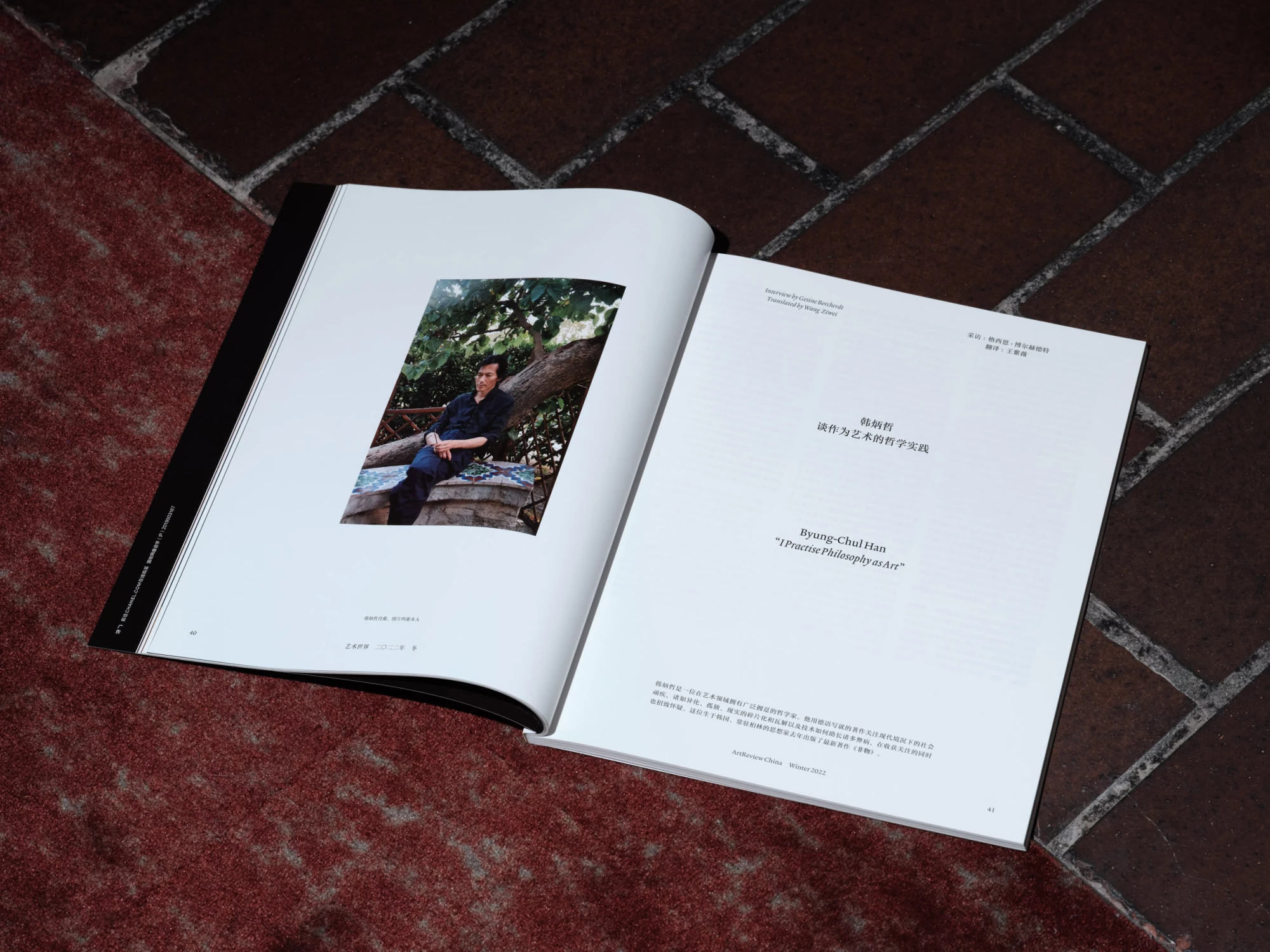 ArtReview China, Meta Media, logotype and layout