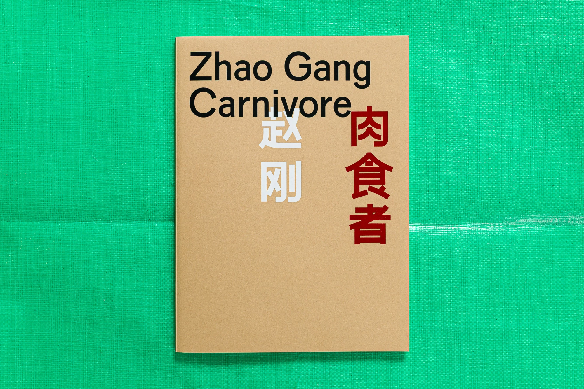 Zhao Gang