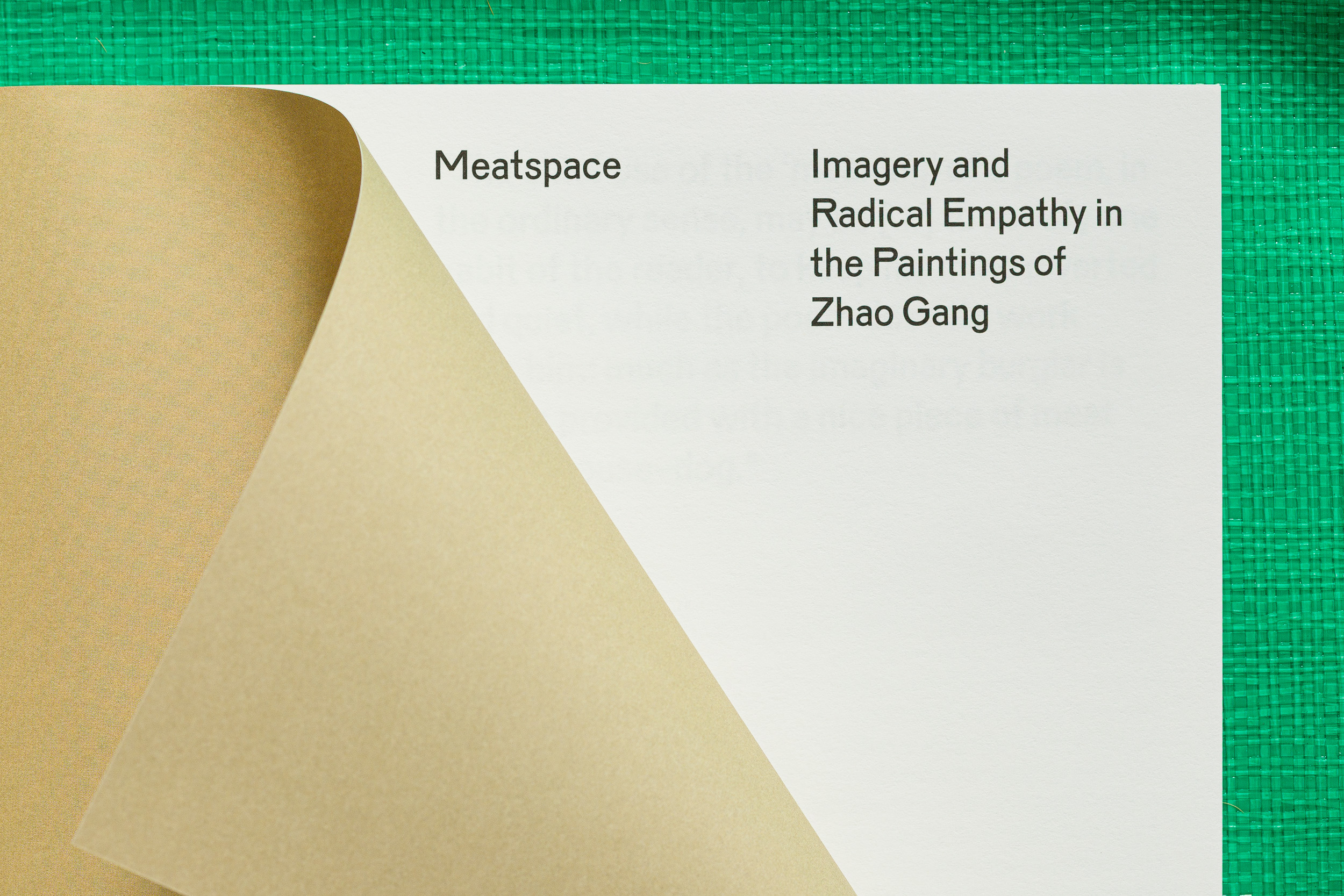 Zhao Gang